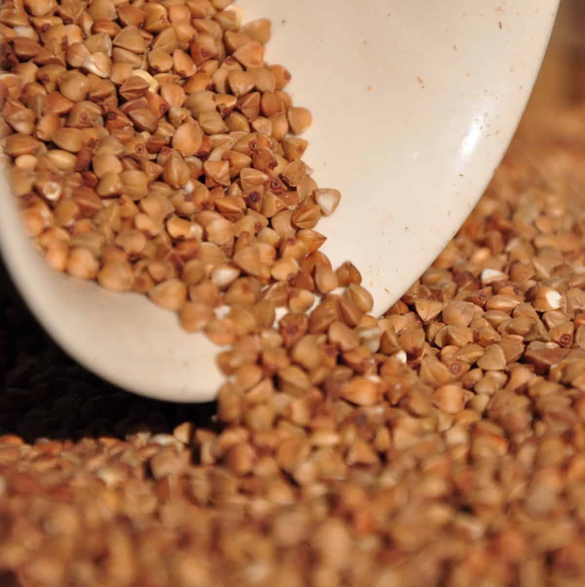 immune boosting tea buckwheat tea or soba cha in Japanese