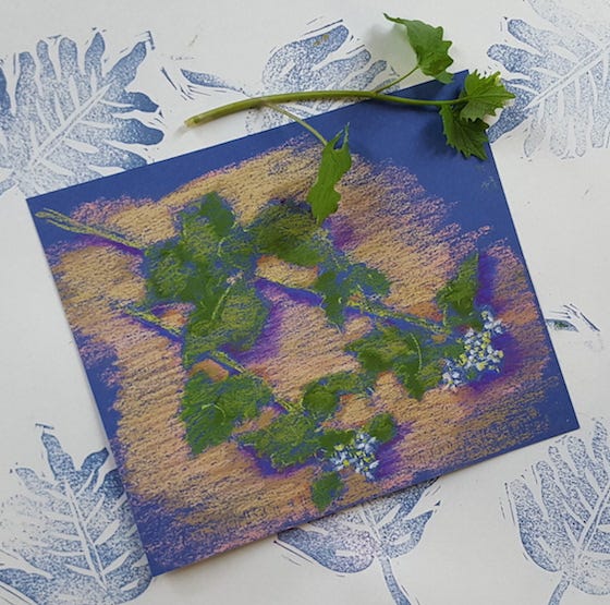 illustration  mustard greens