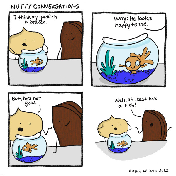 Macadamia nut is standing next to another nut and looking at a goldfish in a bowl. Macadamia nut says I think the goldfish is broken because it is not gold. The other nut says at least he’s a fish.