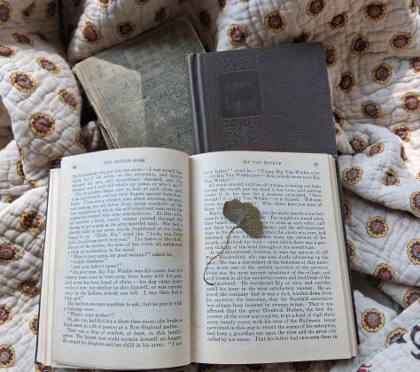 A spread of vintage books opened to reveal pressed four leaf clovers