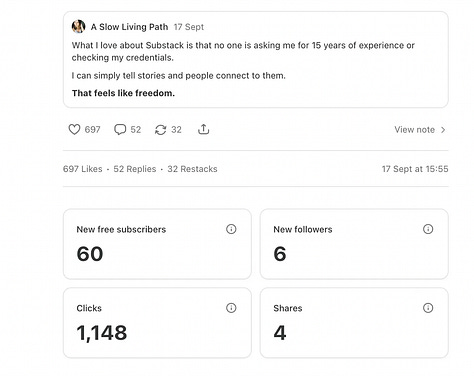 Notes Substack Audit 
