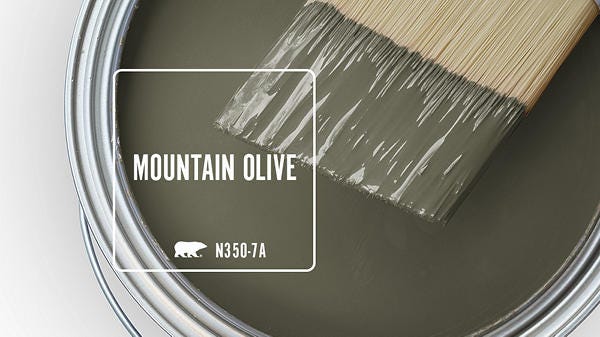 MOUNTAIN OLIVE Color MOUNTAIN OLIVE Color
