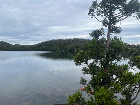 waterfalls, lakes and alpine vegetation