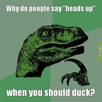 heads up or duck? - Meme by sweetheart1604 :) Memedroid