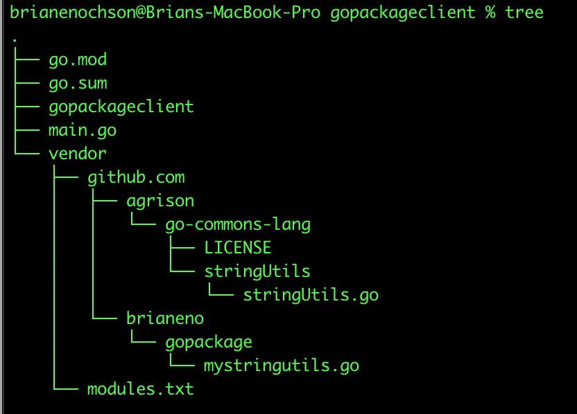 Learning Go: Part Seven — Project Structure, Packages and Modules | by  Brian Enochson | Level Up Coding