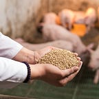 Capital Flows and Asset Markets