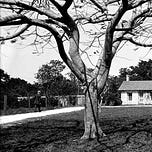 Miami History