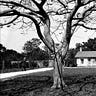 Miami History