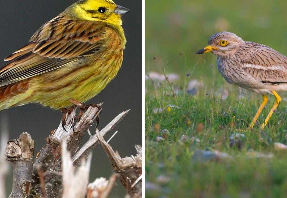 Inside Salisbury: New RSPB managed nature reserve near Salisbury
