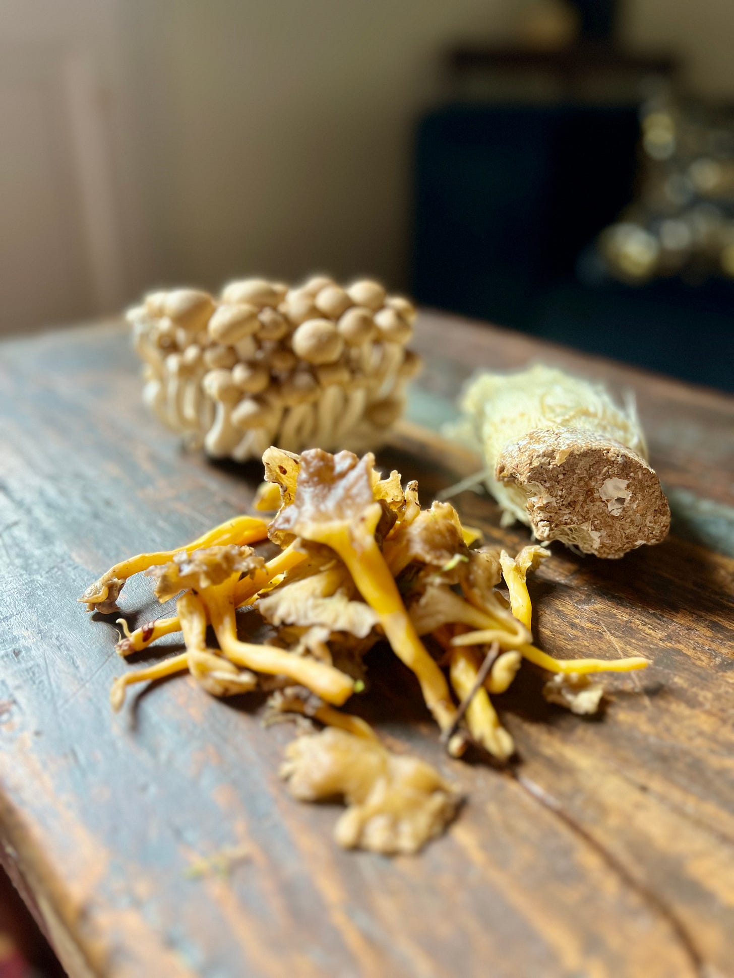 Una variedad de setas frescas sobre una mesa de madera rústica: a la izquierda, rebozuelos amarillos y marrones; en el centro, un grupo de enoki con sus características tapas diminutas y tallos largos; y a la derecha, un manojo de shimeji blancos.