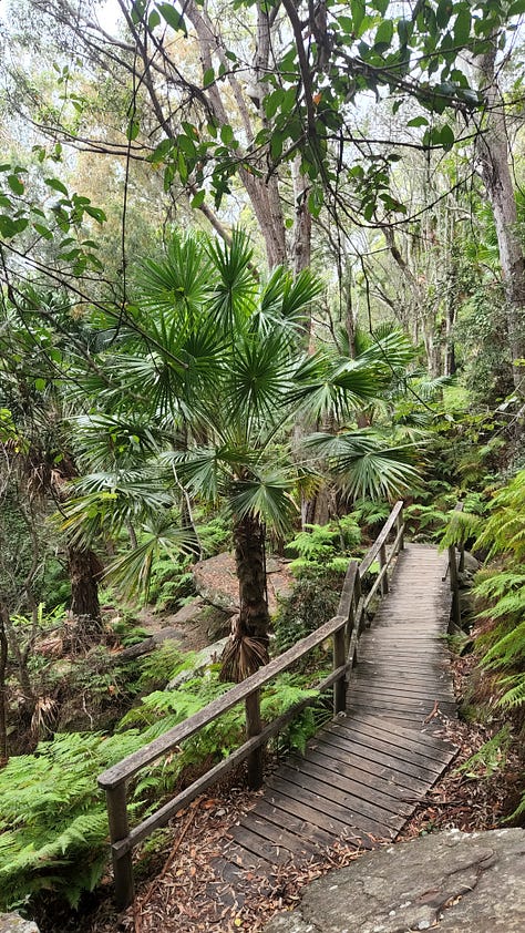 Finding enchantment in Sydney - give me trees, water and a bicycle and I'll be happy!