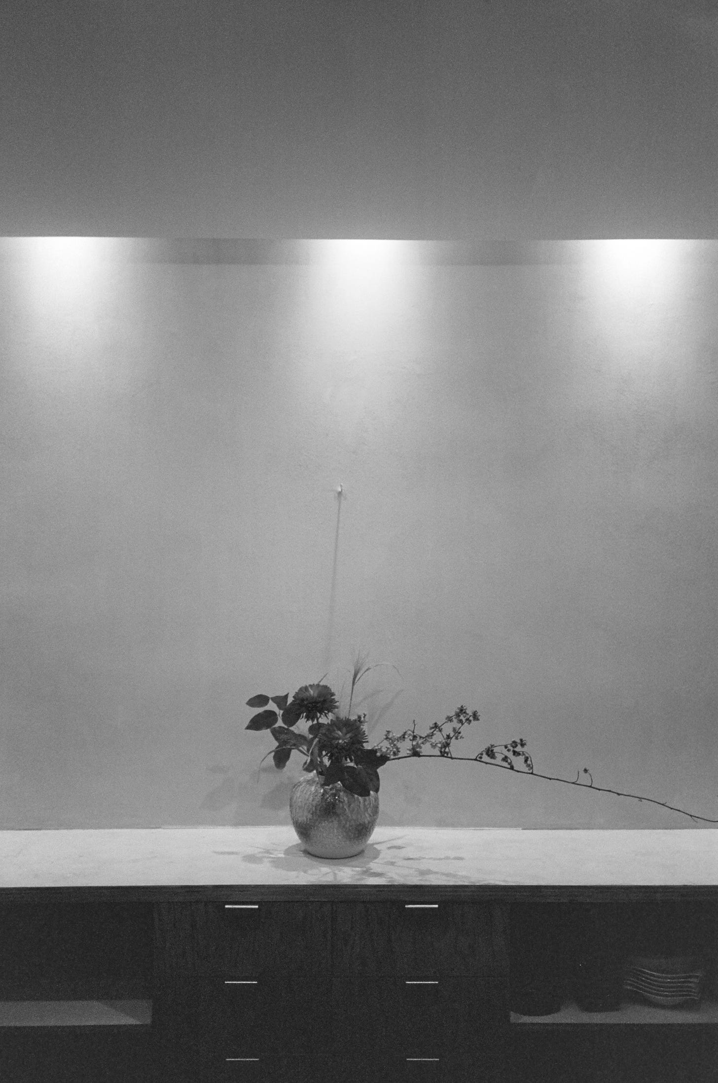 Flowers inside Mori Nozomi