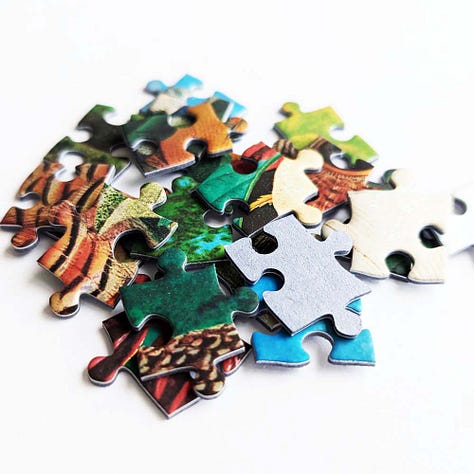 Paperblanks Moon Garden Jigsaw Puzzle