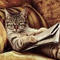 Christopher Shirk's avatar