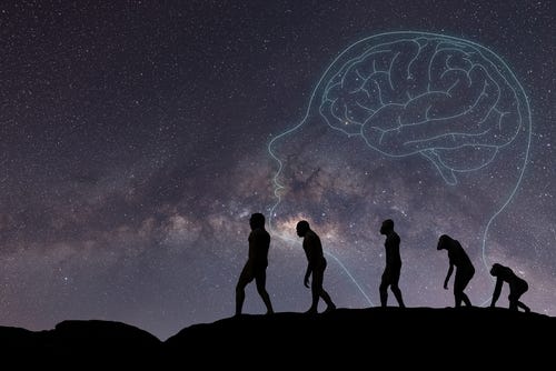 Evolution 1