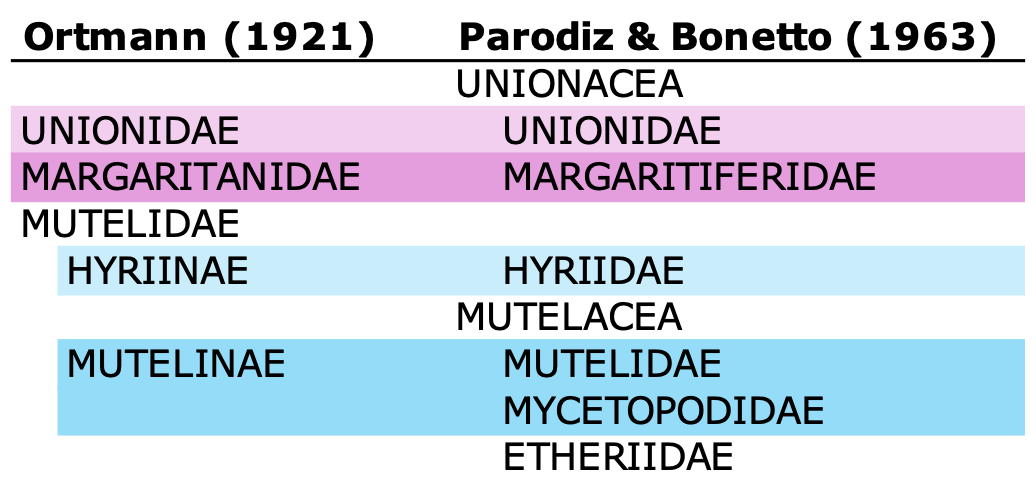 A table comparing two alternative classifications.