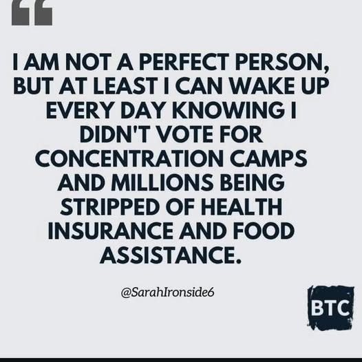 May be an image of text that says 'I AM NOT A PERFECT PERSON, BUT AT LEAST I CAN WAKE UP EVERY DAY KNOWING I DIDN'T VOTE FOR CONCENTRATION CAMPS AND MILLIONS BEING STRIPPED OF HEALTH INSURANCE AND FOOD ASSISTANCE. @SarahIronside6 BTC'