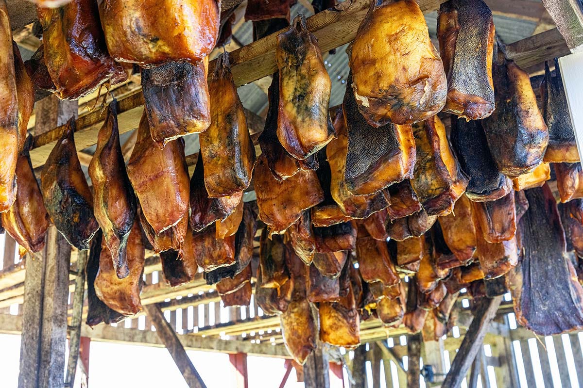 Fermented shark hanging in Iceland. Fermented shark hanging in Iceland.