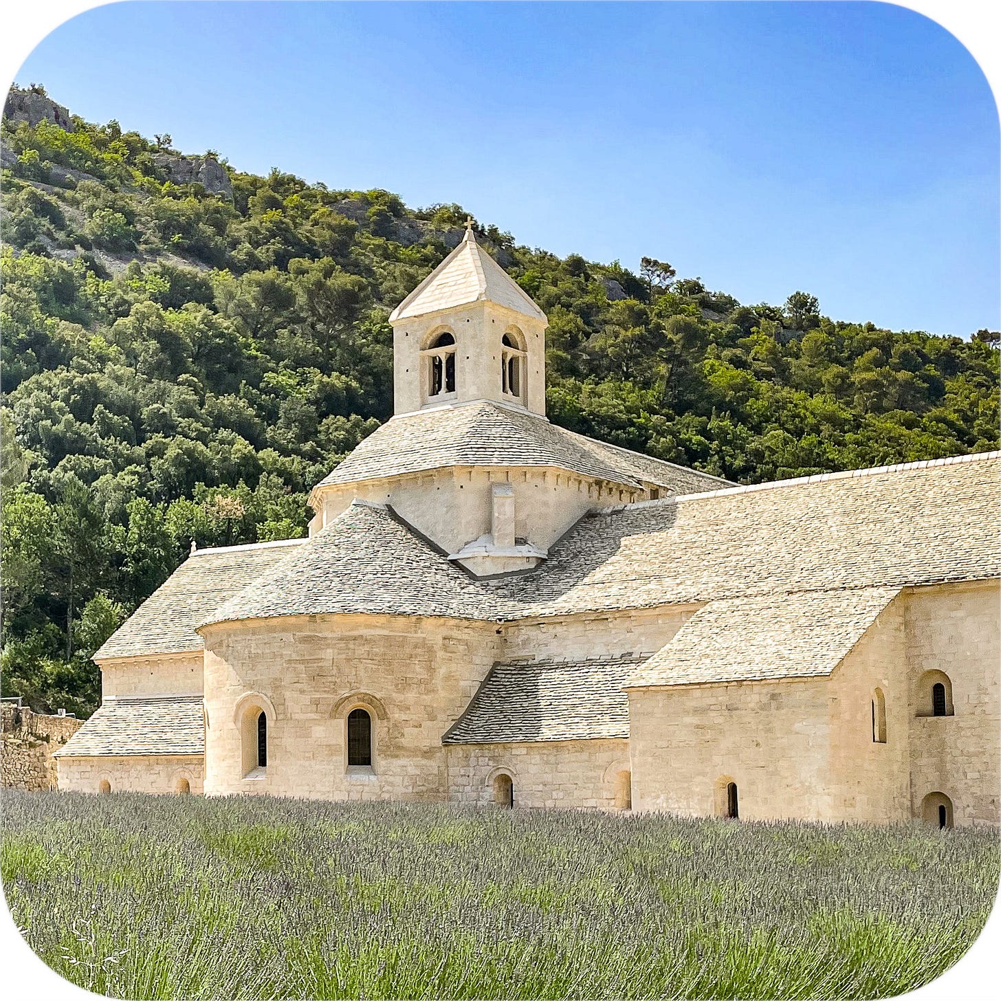 Abbaye de Senanque. Provence, France.