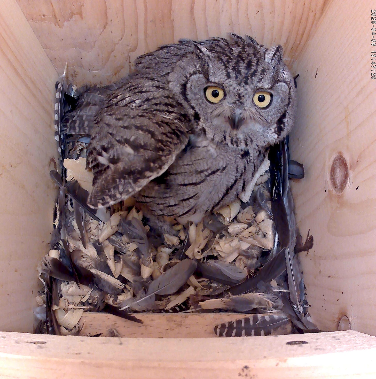 April 8, 2025.jpeg April 8, 2025.jpeg