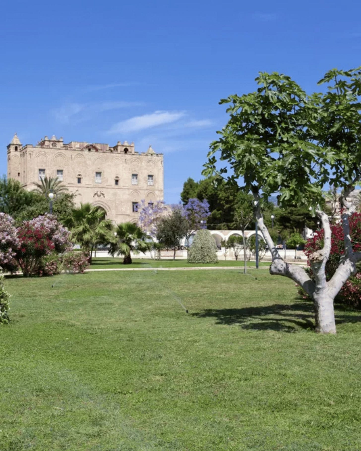 May be an image of castle