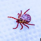 Moderna to Inject 350 People with Experimental mRNA-1982 Lyme Disease Shot as Human Trials Expand