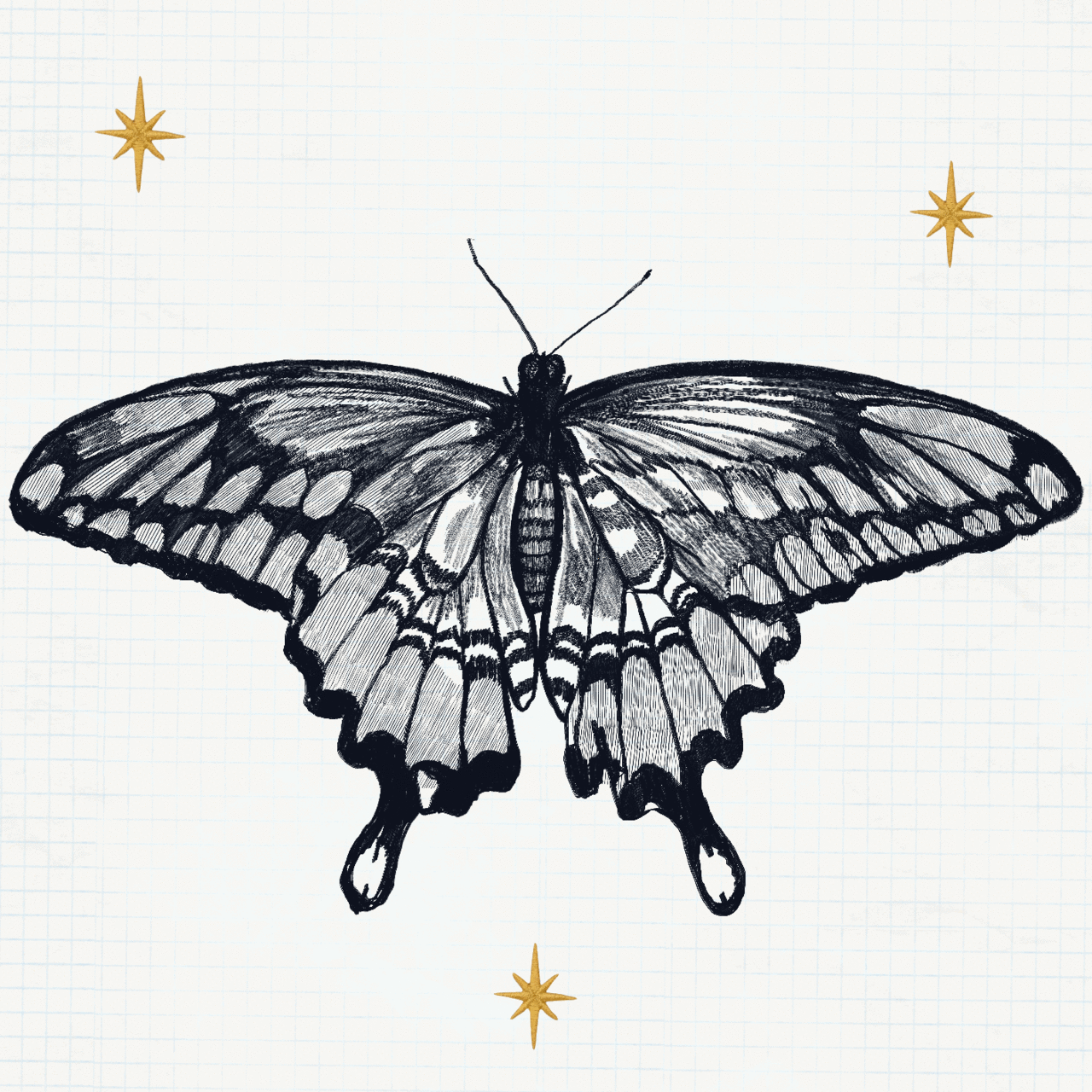 Sarah Rae is a Real Artist