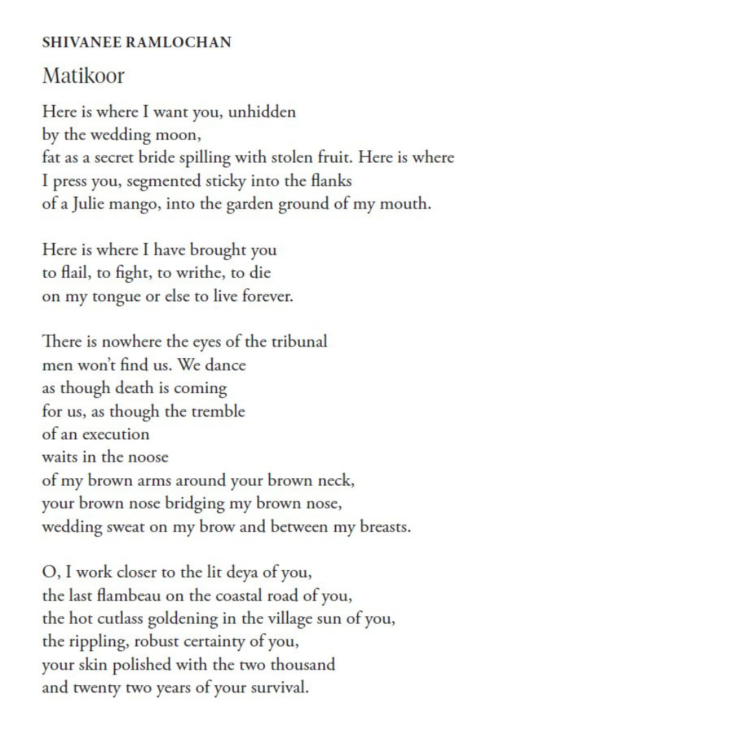 Matikoor Here is where I want you, unhidden  by the wedding moon,  fat as a secret bride spilling with stolen fruit. Here is where  I press you, segmented sticky into the flanks  of a Julie mango, into the garden ground of my mouth.   Here is where I have brought you  to flail, to fight, to writhe, to die  on my tongue or else to live forever.  There is nowhere the eyes of the tribunal  men won’t find us. We dance  as though death is coming  for us, as though the tremble  of an execution  waits in the noose  of my brown arms around your brown neck,  your brown nose bridging my brown nose,  wedding sweat on my brow and between my breasts. O, I work closer to the lit deya of you,  the last flambeau on the coastal road of you,  the hot cutlass goldening in the village sun of you,  the rippling, robust certainty of you,  your skin polished with the two thousand  and twenty two years of your survival. 