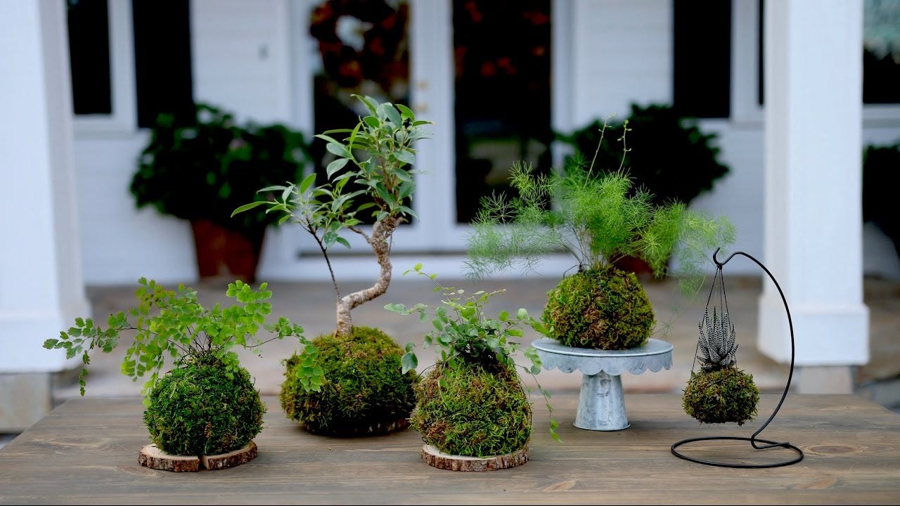 How to Make Kokedama (Full Version) // Garden Answer - YouTube