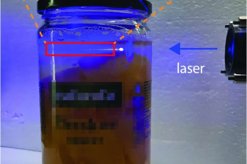 Edible microlasers