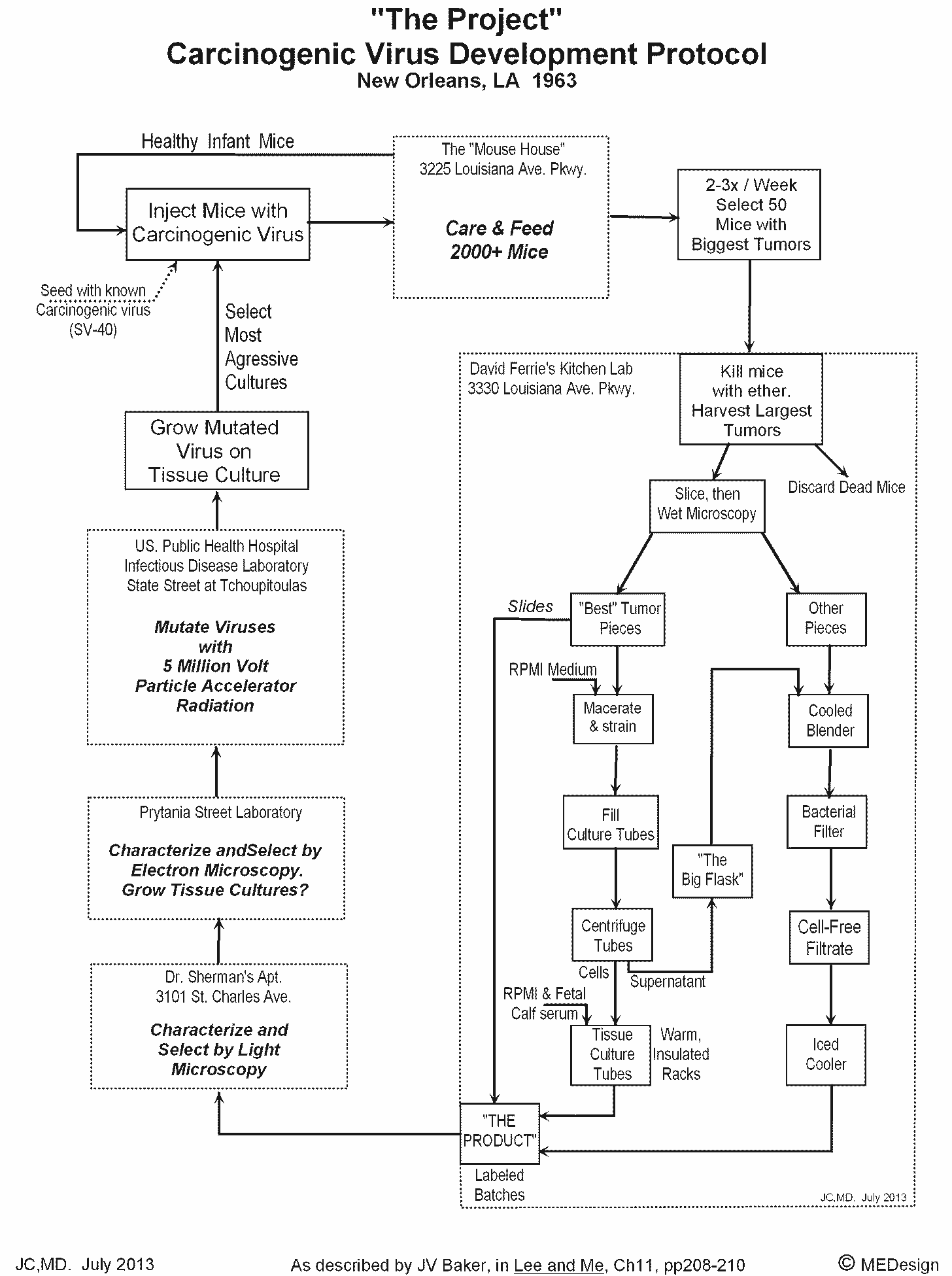 Image: https://medesignman.com/MEDICINE/THE PROJECT/The Project IMAGES/the project protocol flow diagram - jcmd.gif Process Loop for Increasing Viral Carcinogenesis