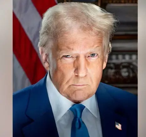 TRUMP VANCE TRANSITION TEAM HANDOUT/EPA Donald Trump appears in his official presidential portrait for his second term in office. He looks directly into the camera and appears to have a raised eyebrow. He is wearing a blue tie and white shirt with an American flag lapel on the left side of his suit jacket