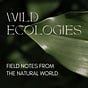 Wild Ecologies's avatar