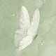 Willful Butterfly