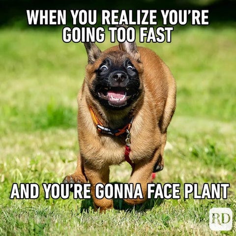 10 Furry Funny Dog Memes | The Buddy System – The Buddy System