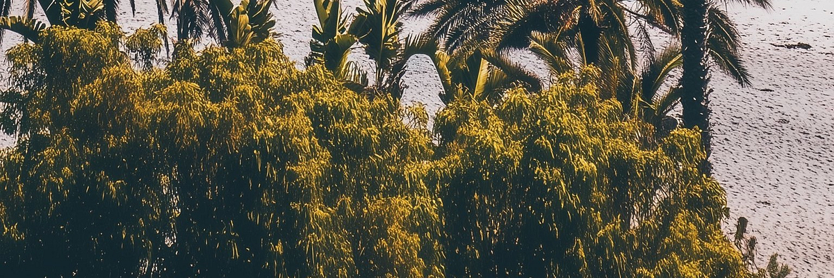 Substack banner for @eyadayman
