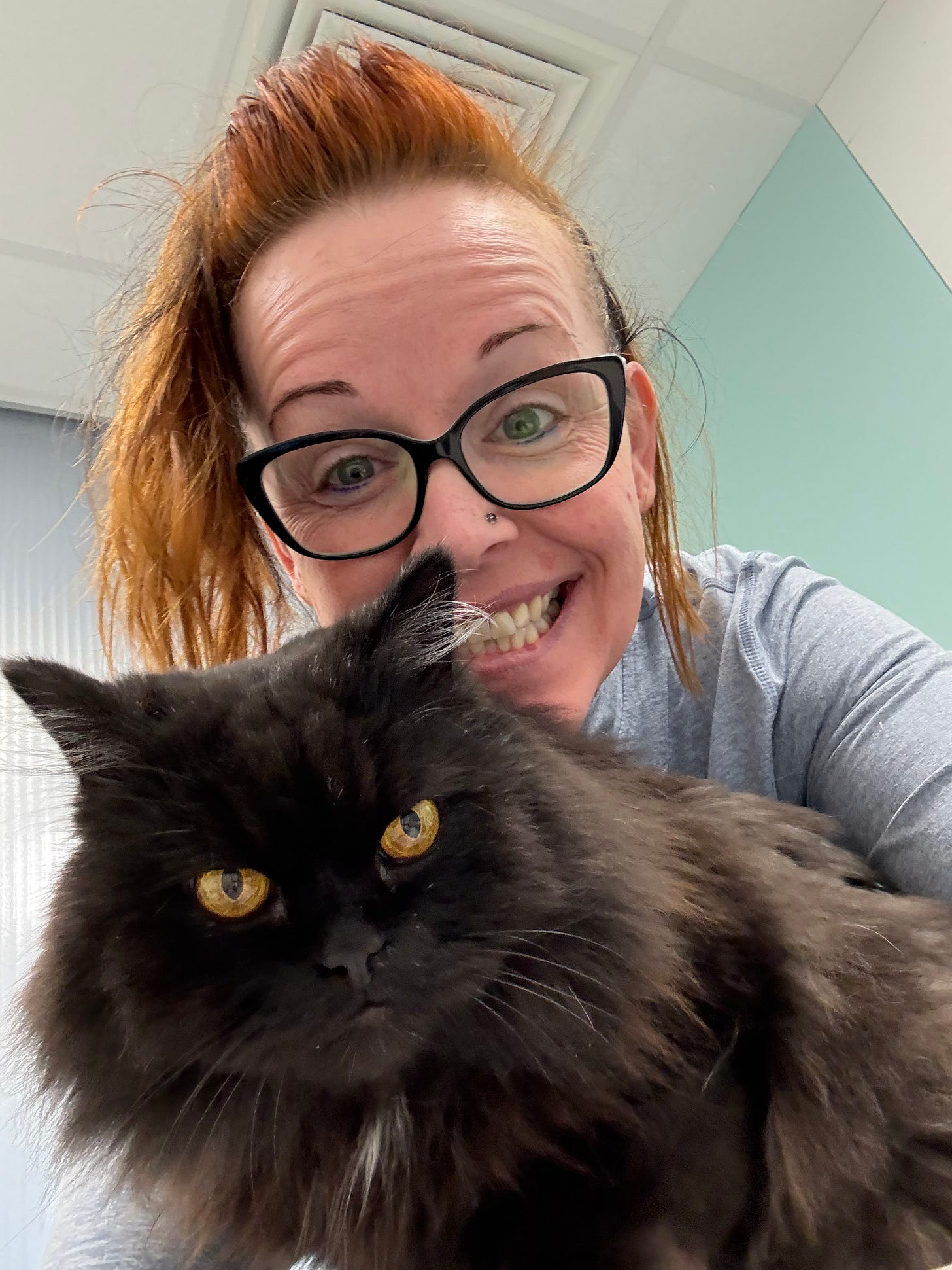 Simba, a fluffy black Persian cat and official mascot of the Creatively Wondering Wonder Atelier, sits regally, looking toward the camera.