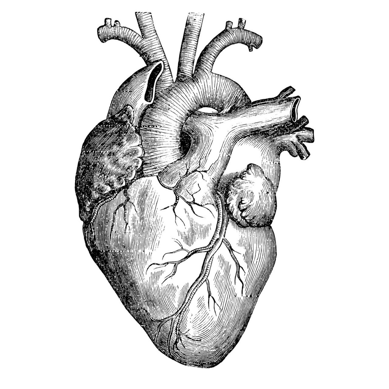 El Amor en Tiempos de Empresa