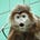Doug Stienstra's avatar