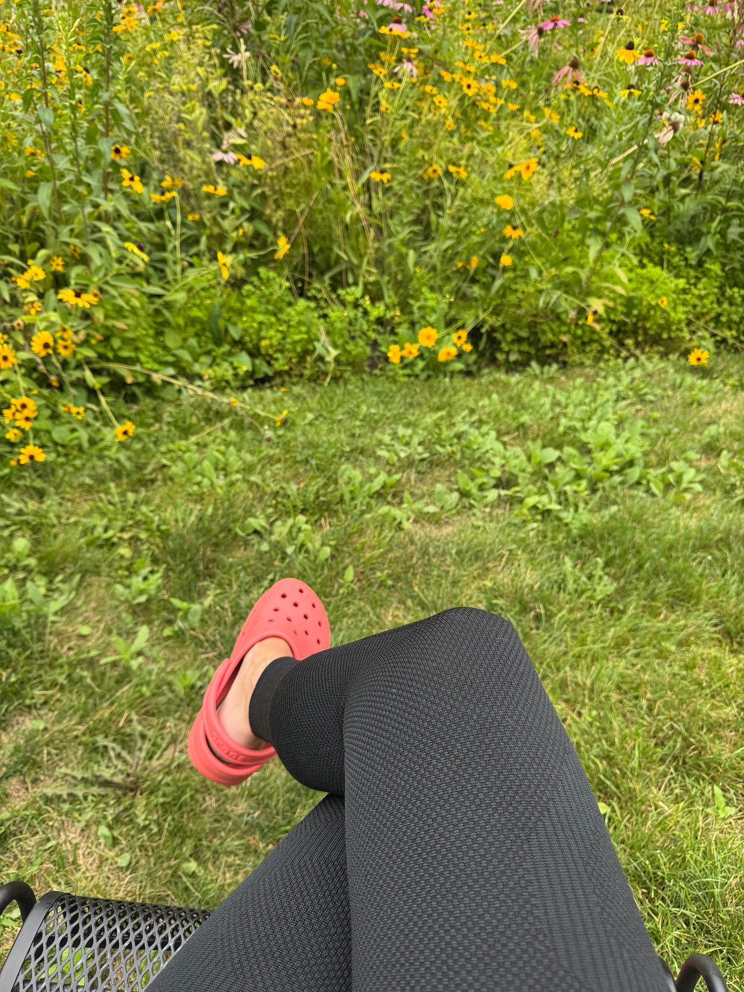 a selfie of my lower body, seated next to the prairie. I'm wearing leg compression sleeves and coral crocs. cone flowers and brown eyed Susans are visible.