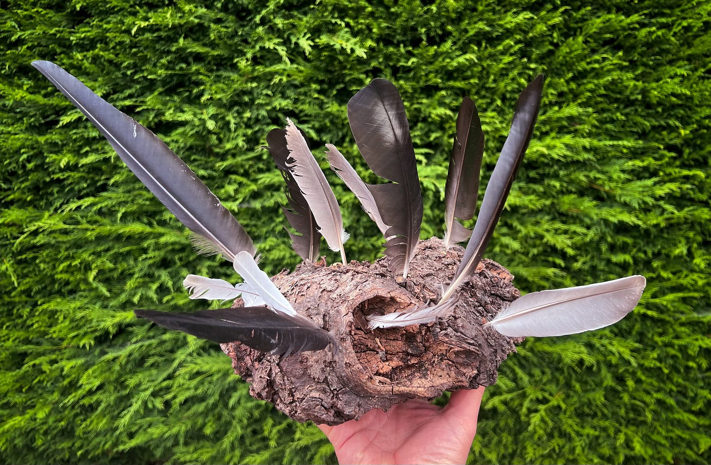 A weird looking piece of wood with feathers sticking out of it.
