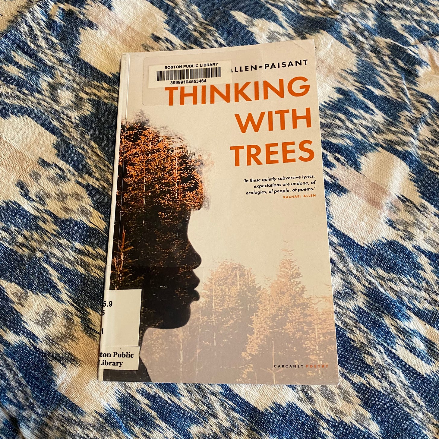 Thinking with trees on a white and blue and white tablecloth.