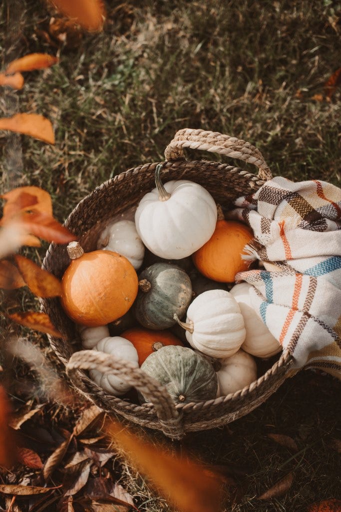 Autumn Season Produce