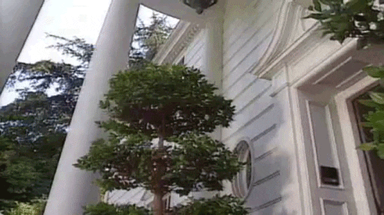 All the Times Jazz Was Thrown Out of the Fresh Prince House