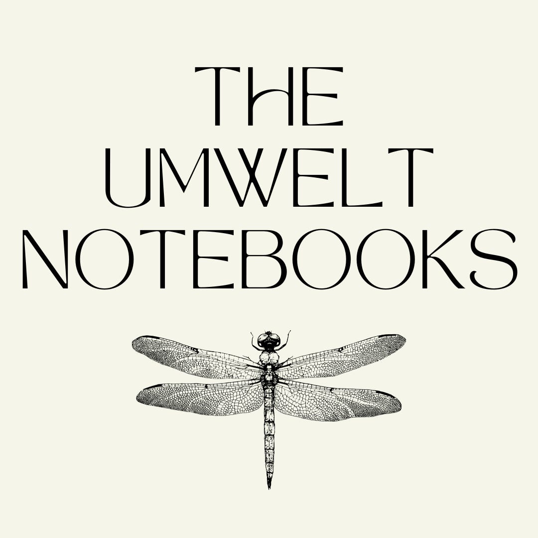 The Umwelt Notebooks