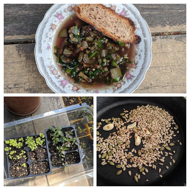 a photo trio of Italian basil lentil soup, a cast iron of garlic + pepitas + sunflower seeds, and tiny basil starts a photo trio of Italian basil lentil soup, a cast iron of garlic + pepitas + sunflower seeds, and tiny basil starts