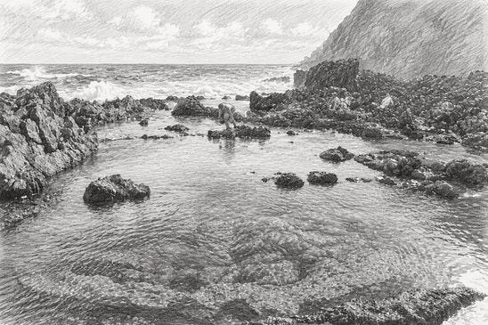 image002.jpg image002.jpg