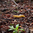 Artist Residency Selection, Spring 2026