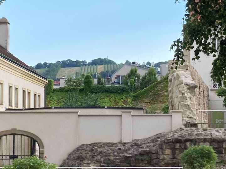 Title: UV-SOM-FD-01-Klosterneuburg-Vineyards-Monastery-Landscape.jpg - Description: Vineyards climbing the hillside beyond buildings and old stone walls at Klosterneuburg Abbey.