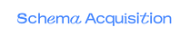 Schema Acquisition